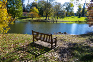 Bench in front of Passion Puddle